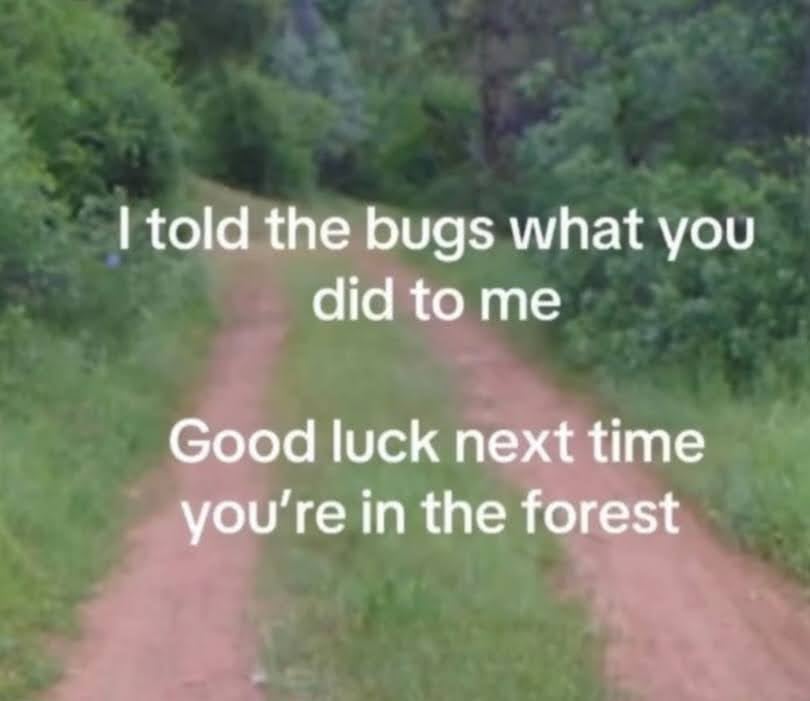 A photo of some tire tracks leading off into the forest. Overlaid text reads: I told the bugs what you did to me. Good luck next time you're in the forest.