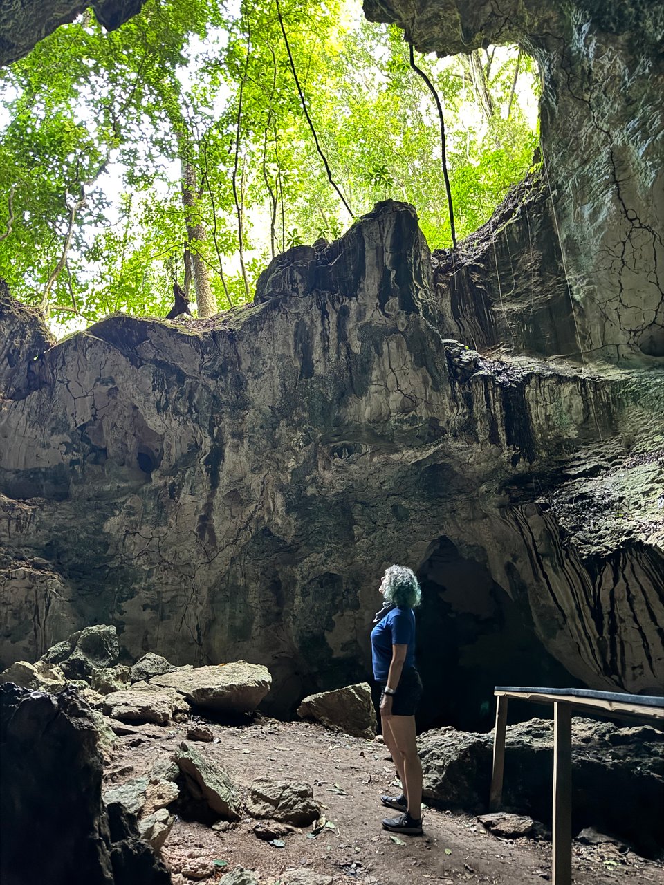 A woman with curly, green-tinged hair stands gazing upward inside a large, open-roofed cave, with light streaming from the opening above.
