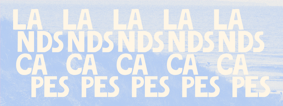 We'd Find Landscapes 