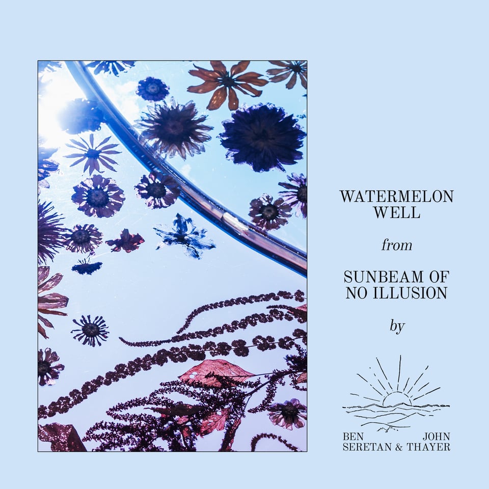single art for Watermelon Well from Sunbeam of No Illusion - floral sculpture against a brilliant blue sky on a pale blue background