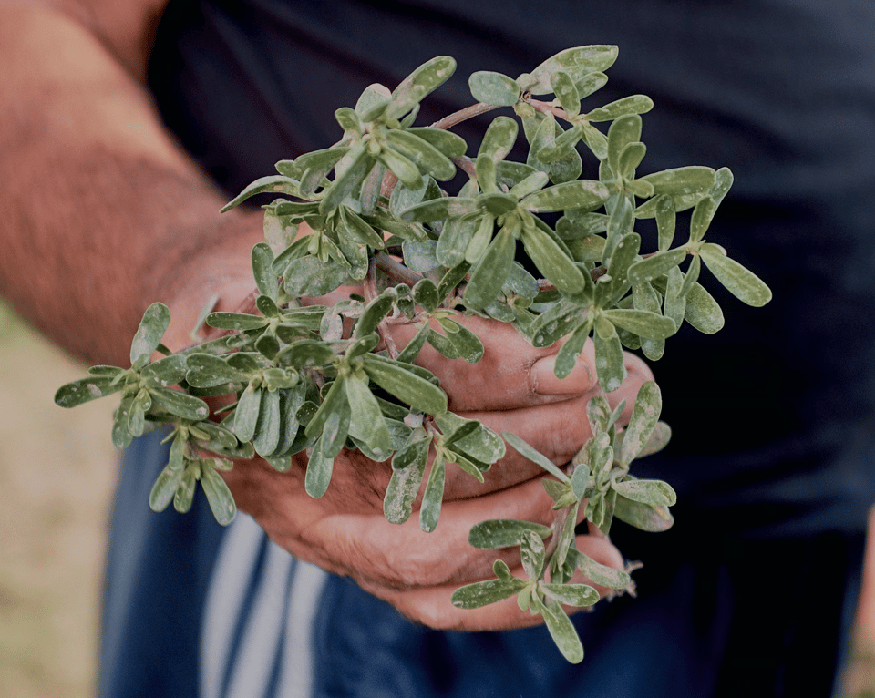 Screenshot 2026-03-12 at 19.44.57.png