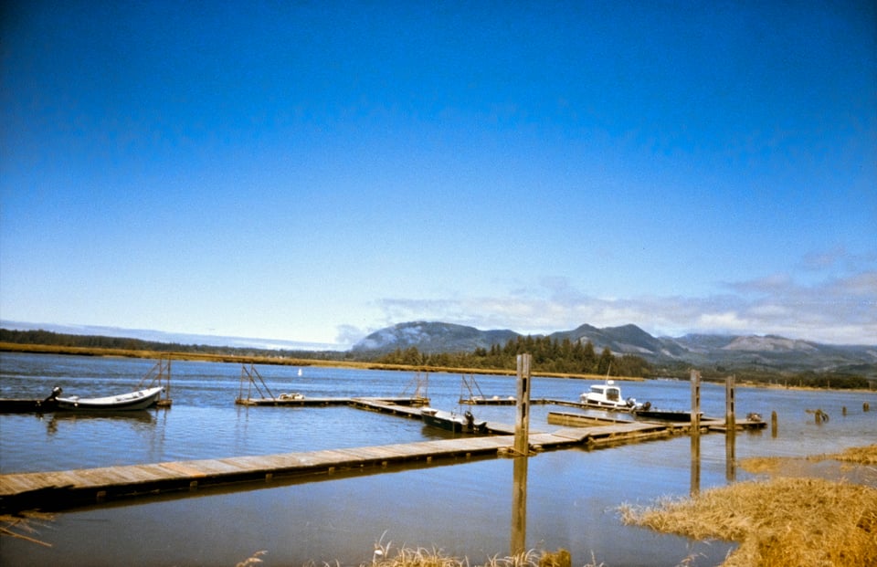 947B1DE2-2C91-4E76-B9D1-508687B0EF6E_1_102_o.jpeg