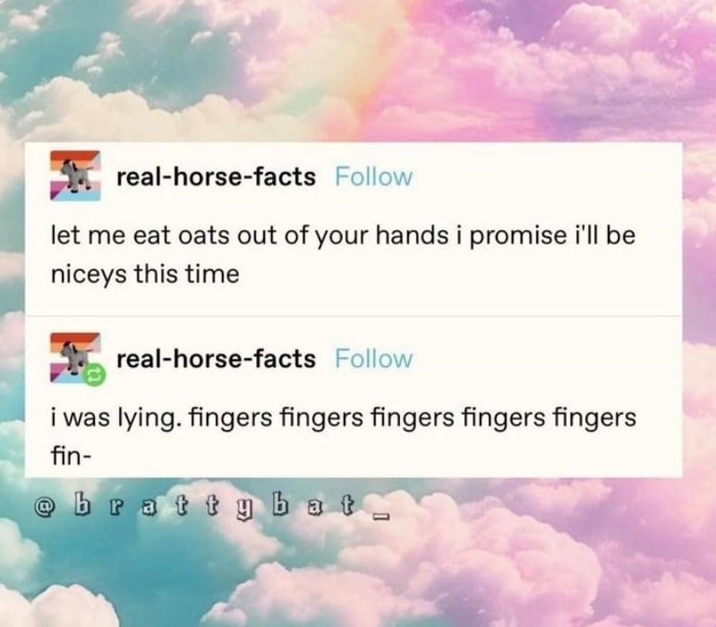 A pretty background of clouds in the sky in trans flag colouring (accidental, I imagine). Meme overlaid reads: real-horse-facts: let me eat oats out of your hands i promise i'll be niceys this time // 2nd post: i was lying. fingers fingers fingers fingers fingers fin-