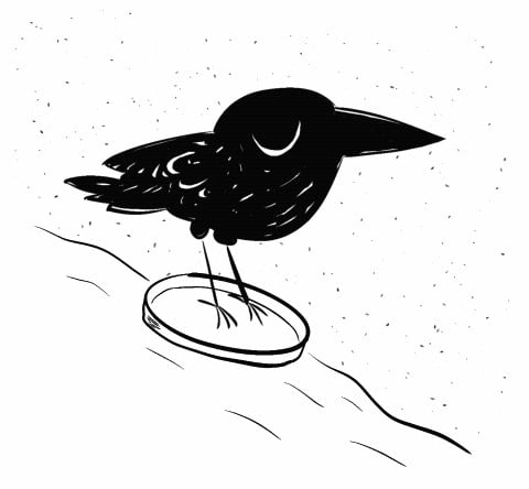 A hand-drawn happy skiing crow.