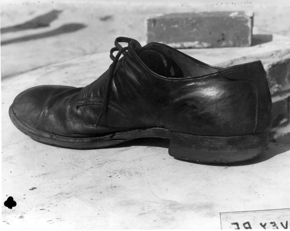 a shoe