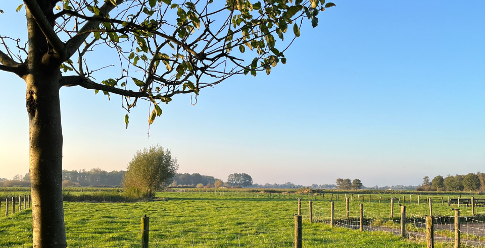 Uitzicht over ons landje