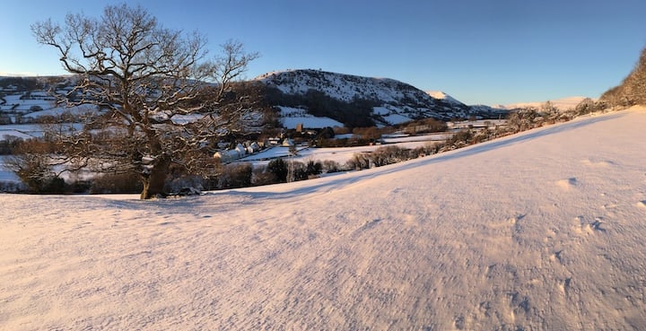 Friends of Cwmdu Music–Happy New Year!