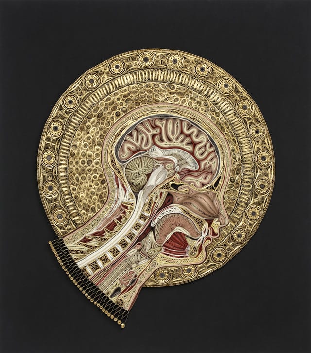 Angelico by Lisa Nilsson. This quilled paper sculpture depicts a cross-section of a human head and neck, showing internal structures. The head is surrounded by a quilled paper halo in the style of Florentine Renaissance painter Fra Angelico. Click image to view source.