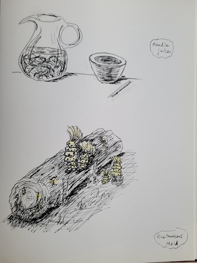 Two drawings on white paper in black ink. The top one is titled "noodle juice" and shows a glass pitcher of juice with swarming noodles in it on the left, and on the right is an empty ramen bowl with chopsticks. The bottom drawing is titled "Pinetanabous mold" and shows a rotting log on grassy ground, and growing out of it are pale yellow mushroom-like things that are vaguely shaped like pineapple, where the bodies look like frilly pineapples with spots on them, and the "leaves" look like spiky mushroom gills.