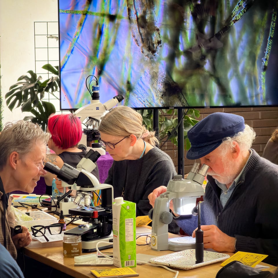 A group of people observe samples under microscopes at a table, with a large screen displaying magnified images in the background.