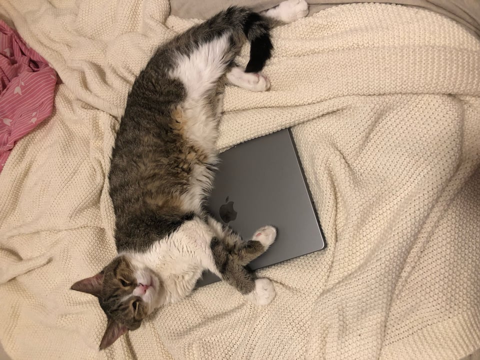 Fran First Newsletter