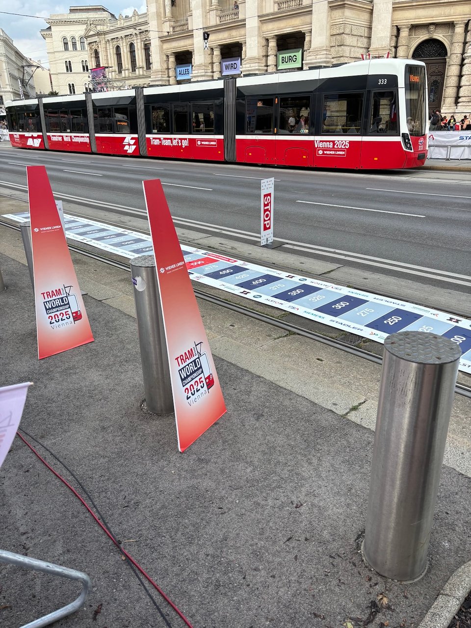 A photo of tram tracks on a road. A sign saying STOP sits to one side; on the ground is a long (six metres??) bit of printed sticker with point markers along it, declining on both sides from 500 at the centre. In the foreground, a large cardboard triangle leans against a bollard