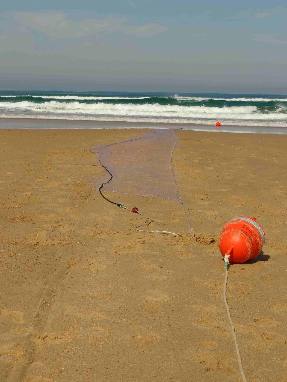 Filet fixe installé par un pêcheur à pied sur l'estran à marée basse. La marée montante va le recouvrir. Il deviendra alors un piège pour tous les poissons qui fréquentent l'estran, comme le bar, le maigre, la seiche ou la sole. Il sera récupéré à la prochaine marée basse, 12 heures plus tard.