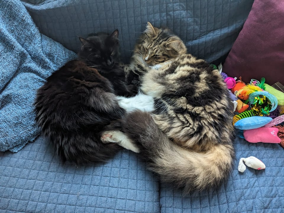 Agnes on the left, Eddie on the right, cuddling.