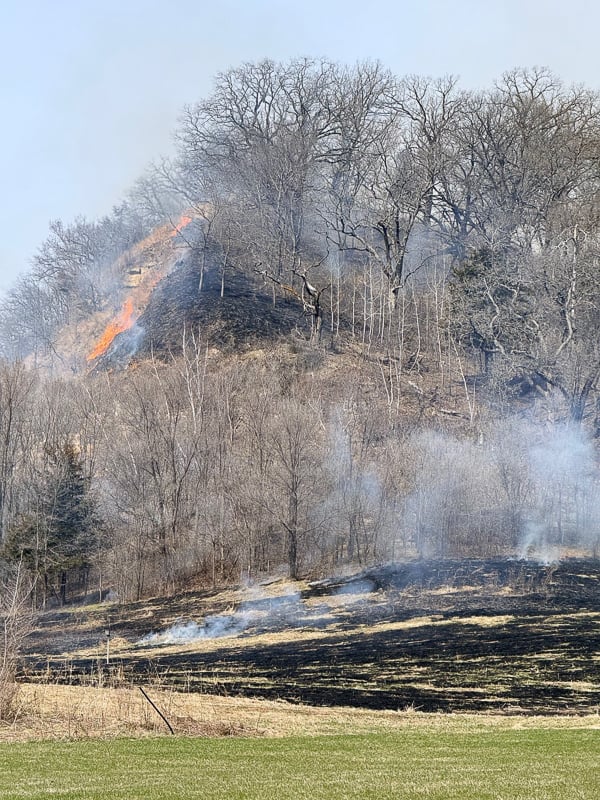 A prescribed burn in the park in mid-April. Just three days later, green shoots were evident. / Photo by Brian Henkel