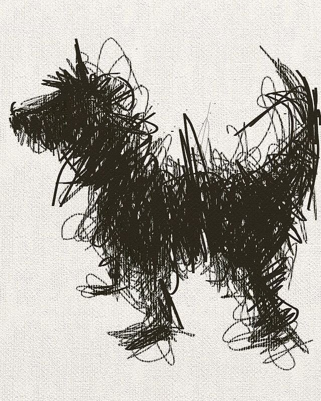 Black scribbles on canvas in the shape of a small scruffy dog. They have pointy ears and hair, and a tail standing up in a swoop. Their little feet are firmly planted. Created by Sally Muir.