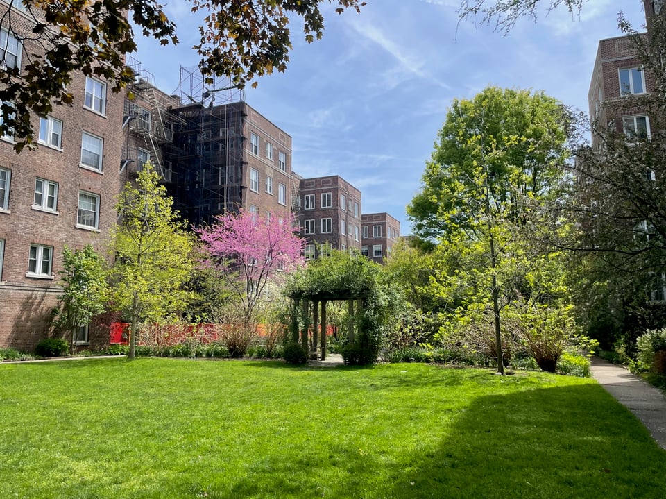 a garden apartment courtyard in Jackson Heights with green grass and pink trees