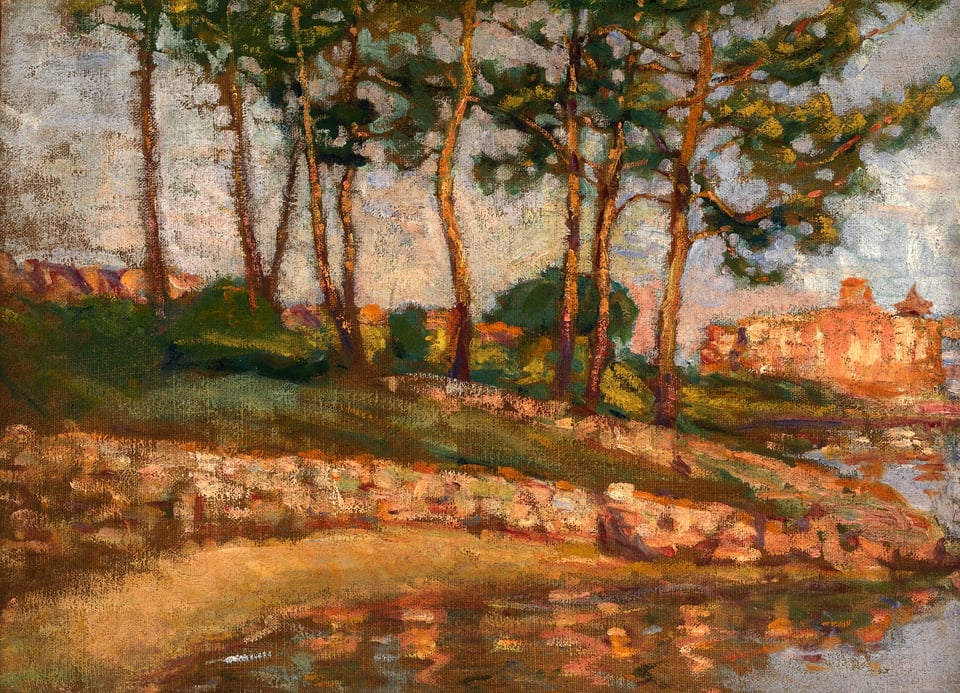 Green leaf southern pines on a coast in the south of France