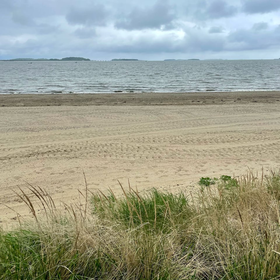 the unseasonably chilly shore of Quincy, MA the other day