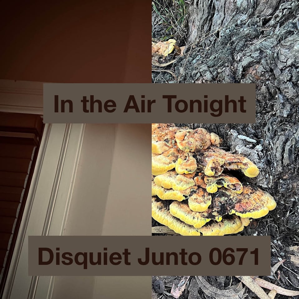 The cover image for this week’s project is two images, splitting the square along the vertical. On the left is what looks like a corner of a room and on the right is what looks like a large yellow fungus growing on a tree. On top of those are the project’s name and number.