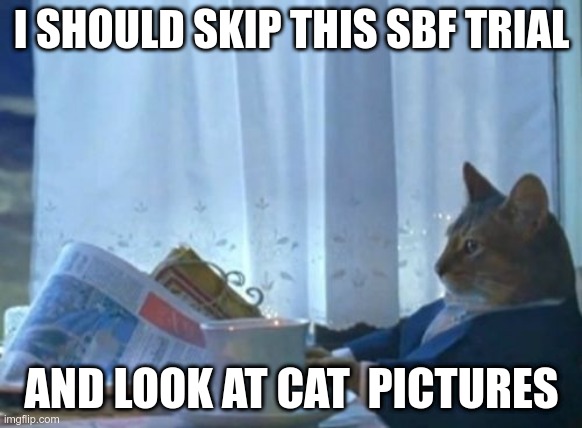The "I Should Buy A Boat" meme, with the caption "I Should Skip This SBF Trial And Look At Cat Pictures."