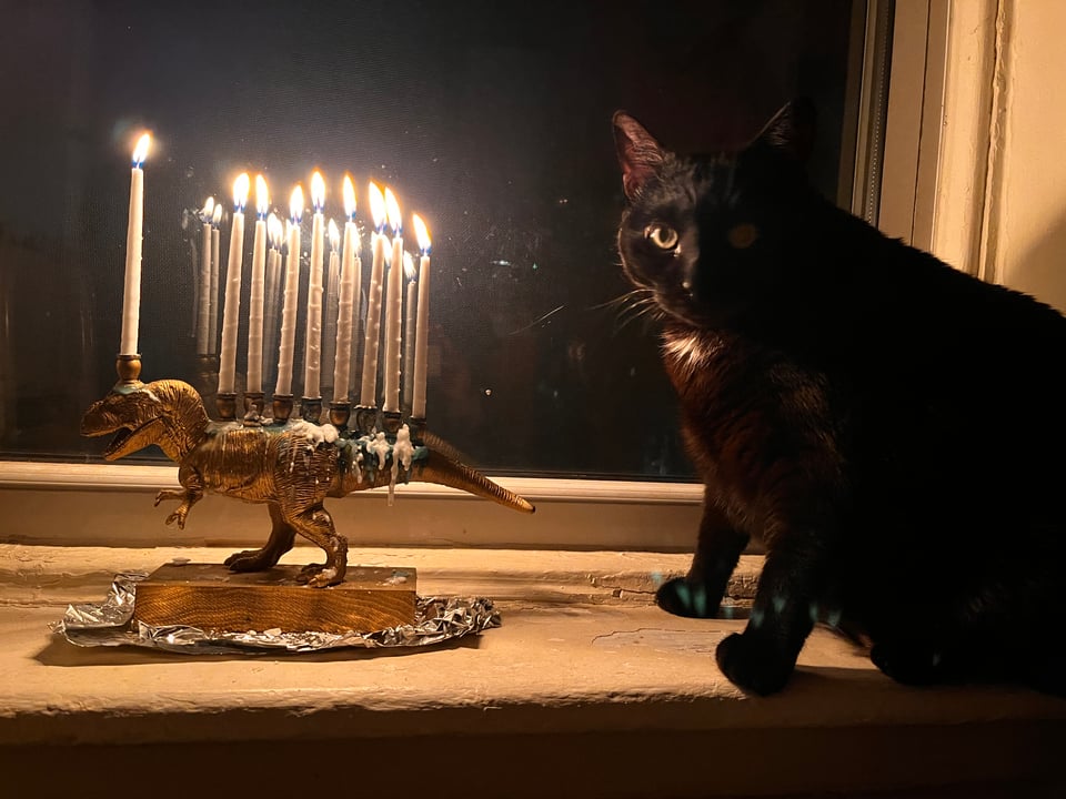 Adorable black cat next to Menorahsaurus candelabra with all 8 candles lit in windowsill during Hanukkah. Brooklyn, New York.