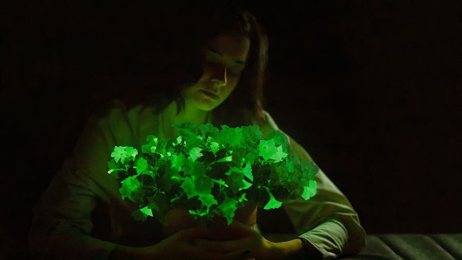 A woman holding a glowing plant in the dark