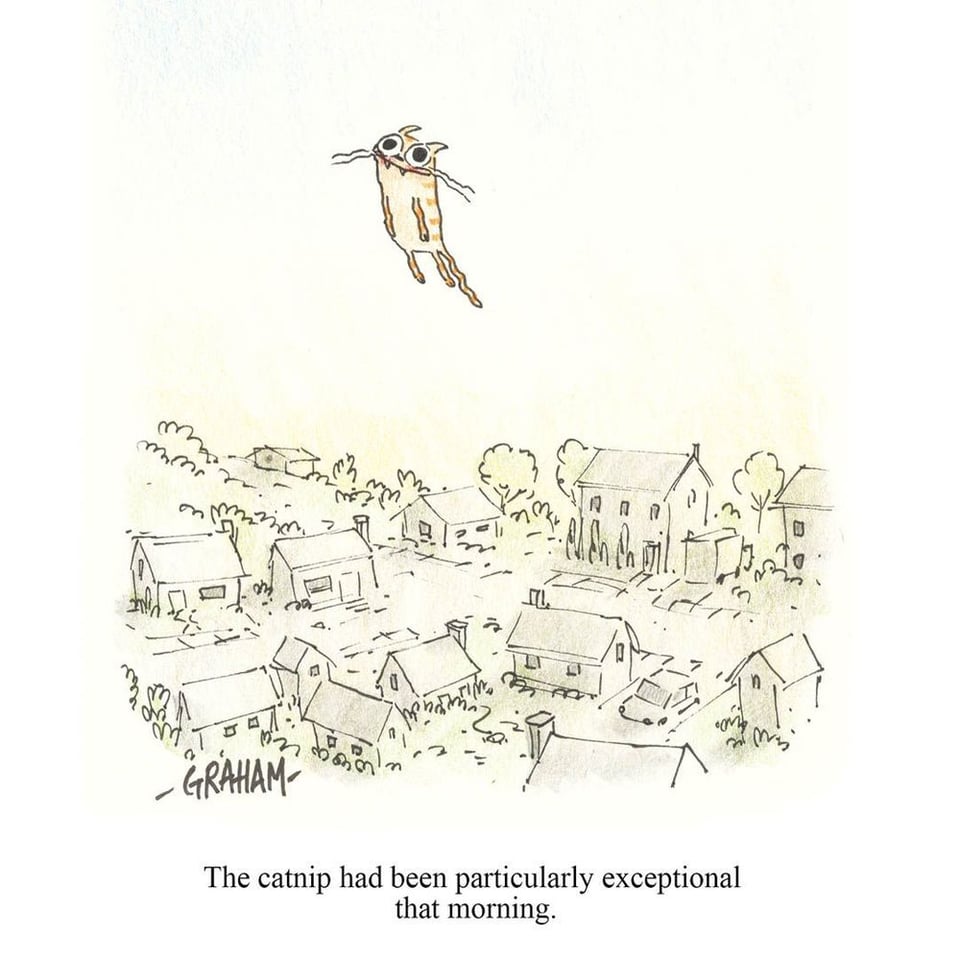 A cat flies in the air over a village thanks to particularly exceptional catnip