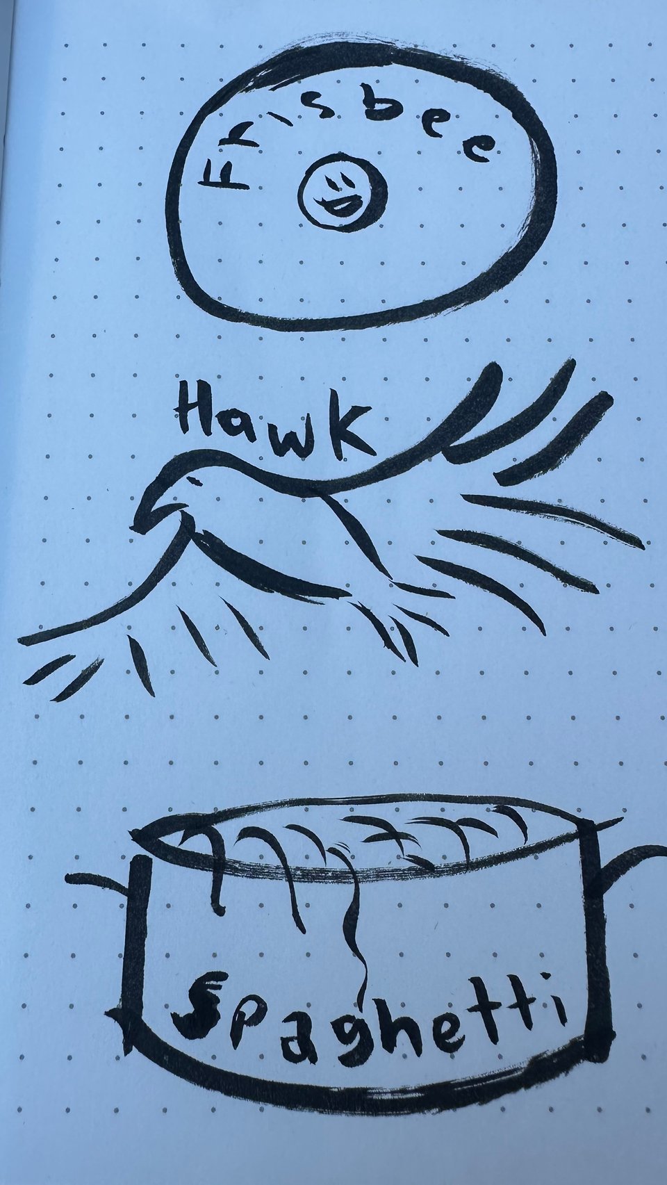 a drawing of a frisbee, a hawk, and a pot of spaghetti