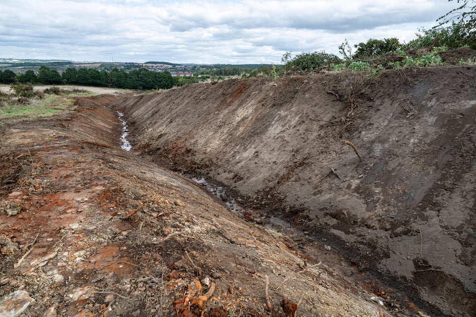 A view of the channel dug out along the beck (5 Sept 2026)