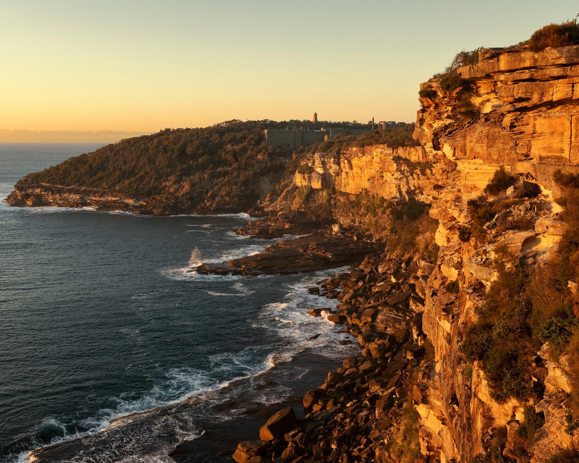 Last Week's New Yorker Review: October 20