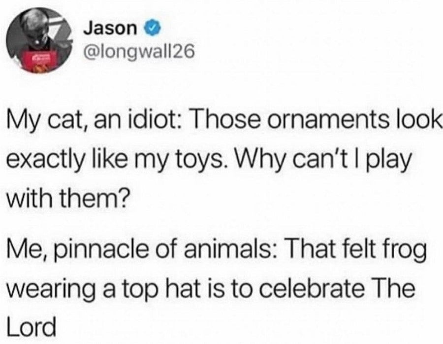 Twitter screenshot from @longwall26. My cat, an idiot: Those ornaments look exactly like my toys. Why can't I play with them? Me, pinnacle of animals: That felt frog wearing a top hat is to celebrate The Lord.