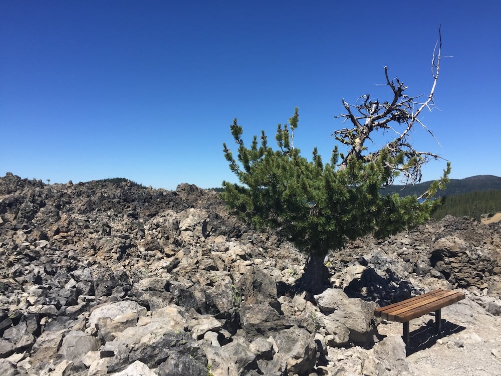 Forever on Our Mind: Beautiful Benches of Oregon, Part III