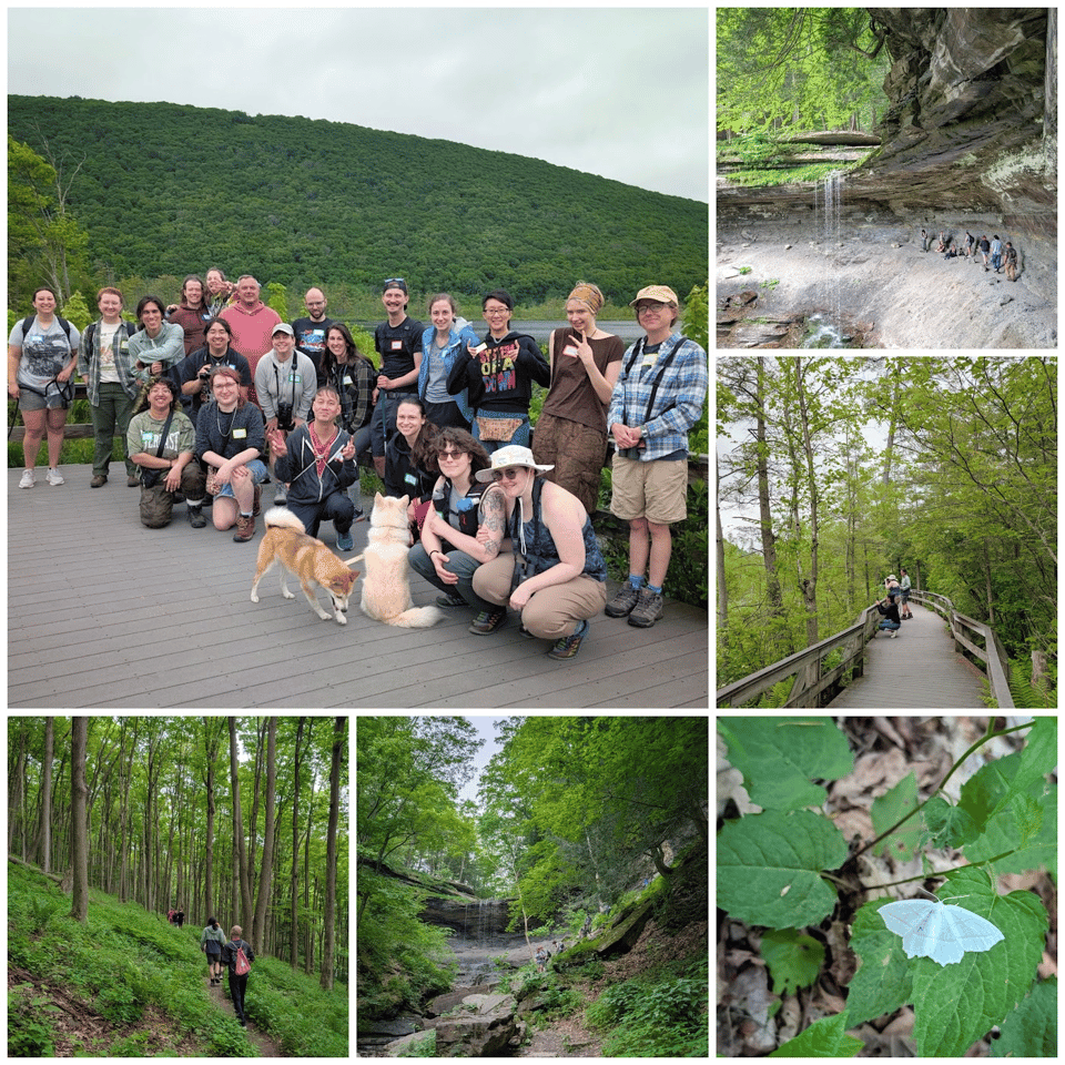 Some photos from our recent hike from Labrador Hollow to Tinker Falls!