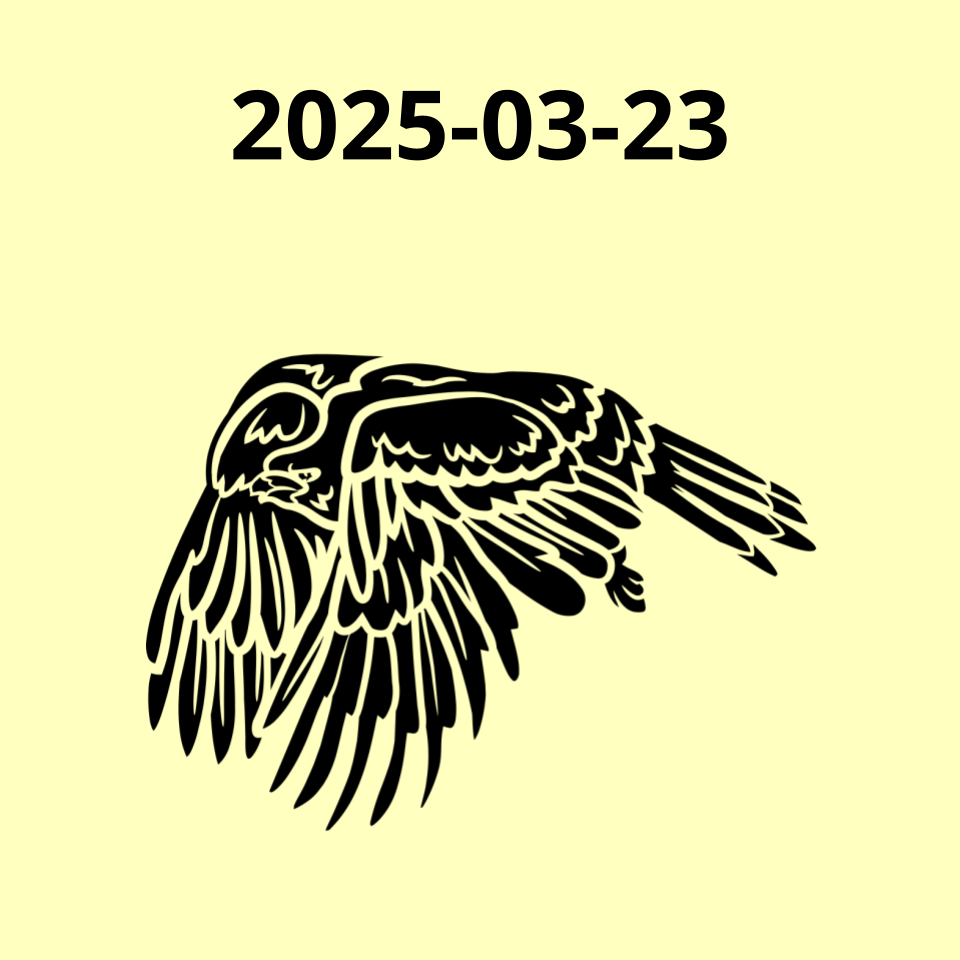 2025-03-23 Icon of a hawk in flight