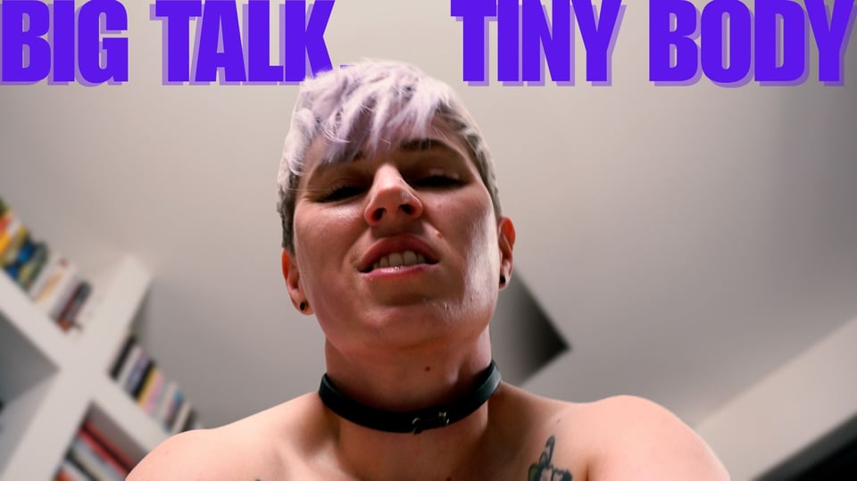 cover image for "big talk, tiny body"
