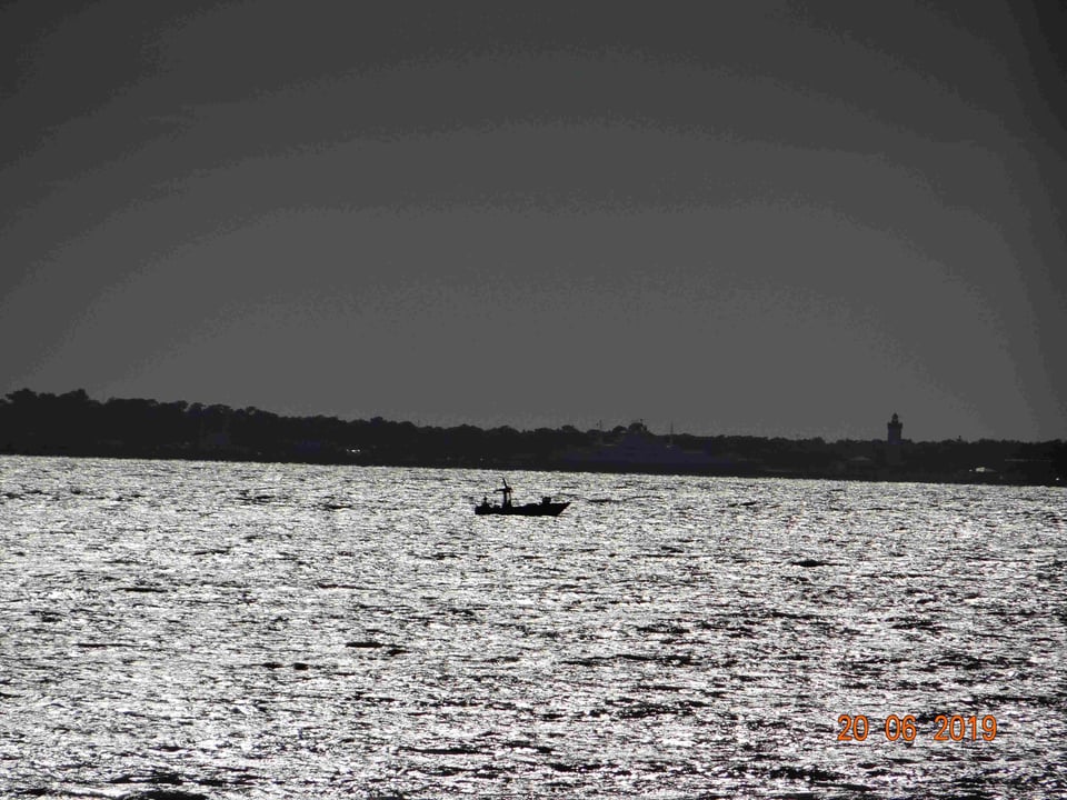 L'Estuaire de la Gironde est le passage obligé des poissons migrateurs, notamment du saumon et de l'esturgeon.  Il n'y aura point de salut pour ces espèces en très grandes difficultés tant qu'on y autorisera des filets capables de les capturer...