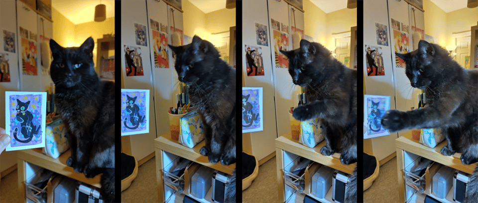 A four-photo sequence of a black cat smacking a sketchcard.