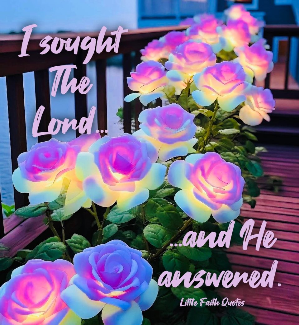 "I sought The Lord....and He answered." Image by: @Little Faith Quotes.