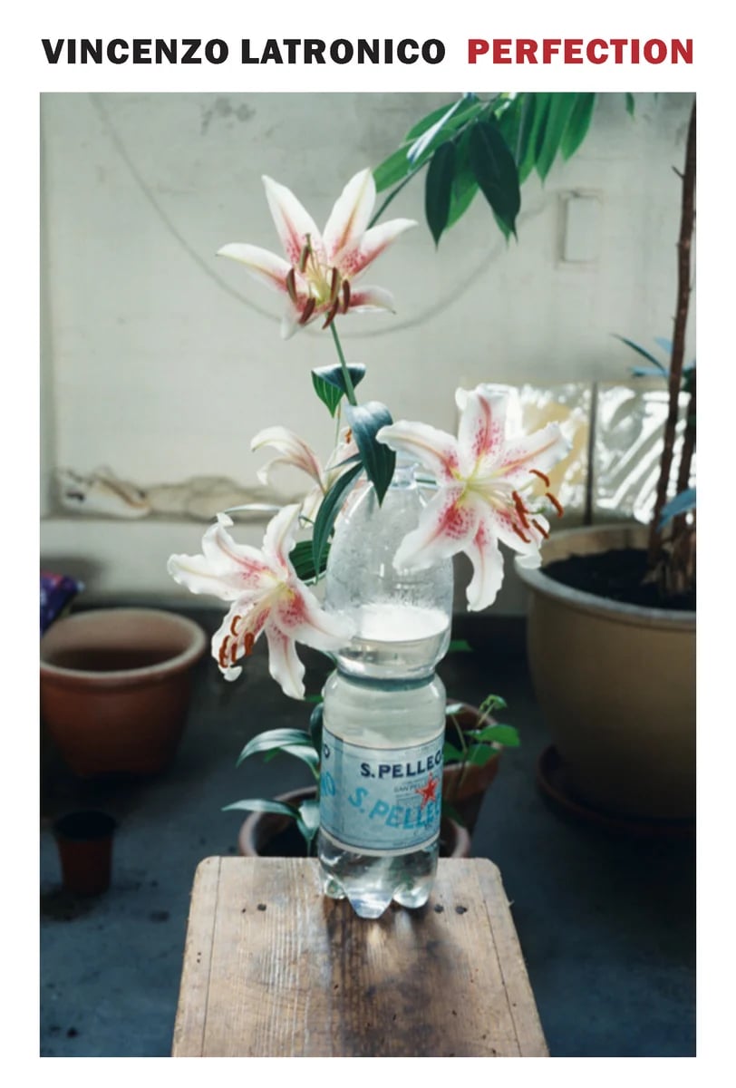 You Have Nothing in Common with Elon Musk