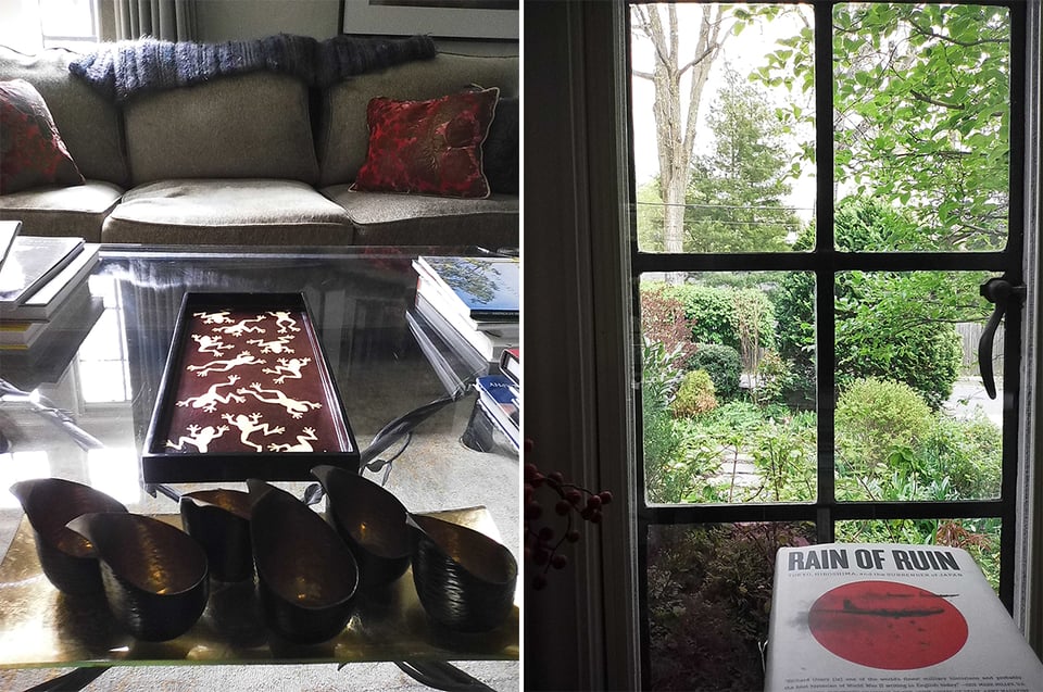 two digital Instax photos: left, a glass coffee table with a tray featuring inlaid frogs; right a window looking out on a garden, inside a copy of the book Rain of Ruin is visible