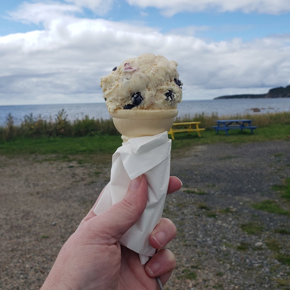 blueberry cheesecake ice cream in rocky harbour, nfld