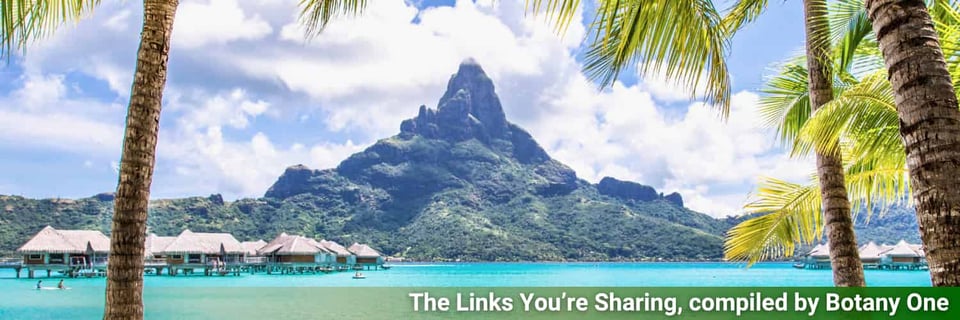 A view of the lush slopes and azure seas of Tahiti, which is the closest I'll get to it.
