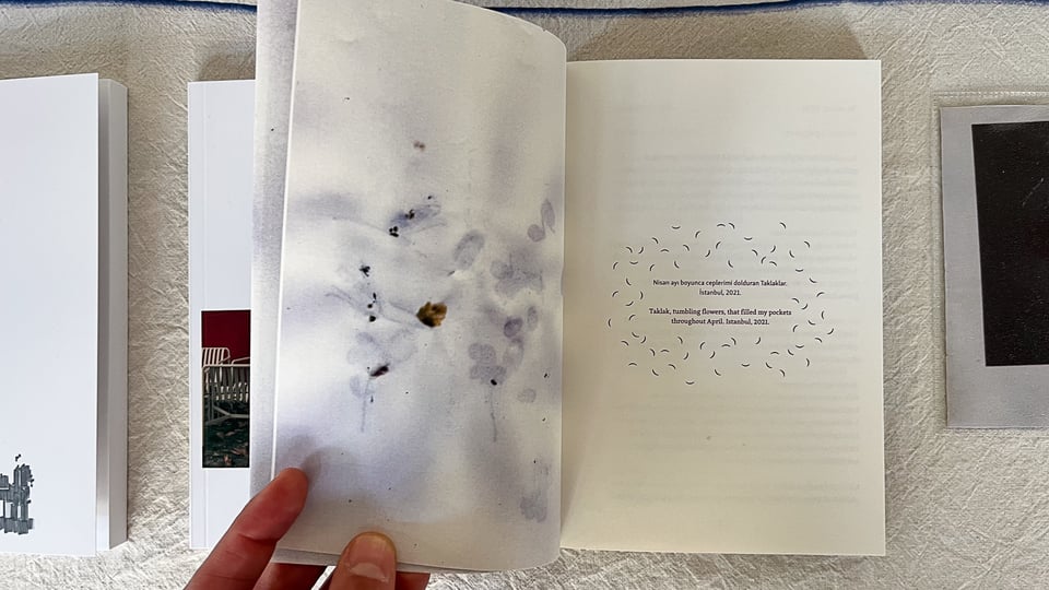A peek into Dilşad Aladağ's book "Taklak".