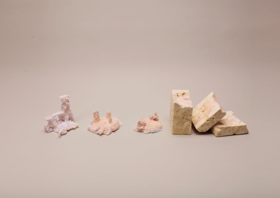 Wax casts of tunnels