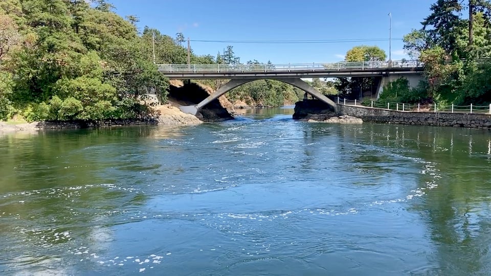 A photo of the water running through the Tillicum rapid as the tide comes in.