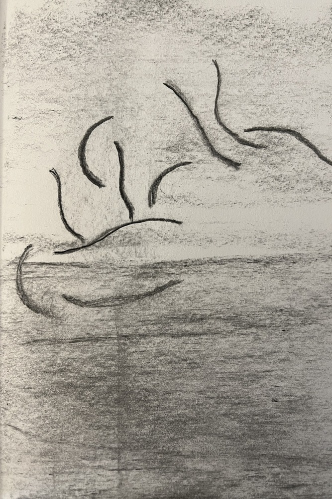 My abstraction of the artwork for "L'Envol"
