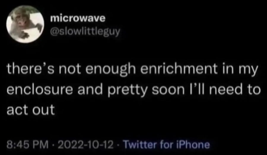 @slowlittleguy: there's not enough enrichment in my enclosure and pretty soon I'll need to act out