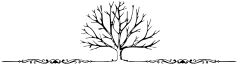 decorative divider of a bare tree
