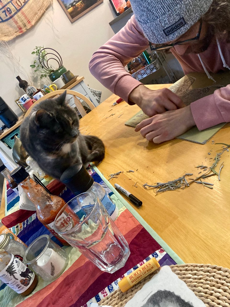 florilegia #2.5: january album